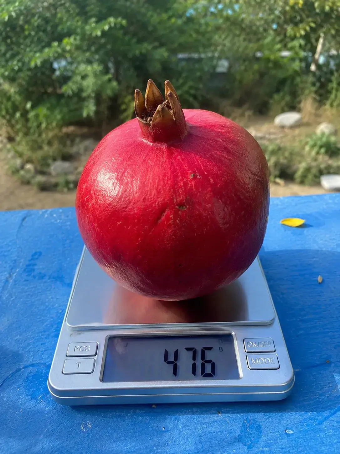 Плід на вазі та врожай у кошику